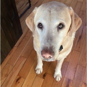 Gladly accept bundling!  See something you like?  Make me an offer!